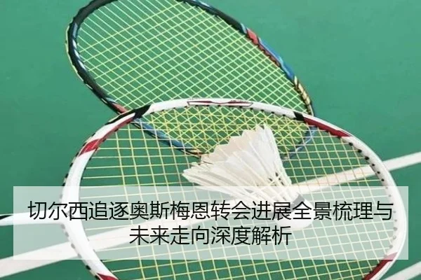 切尔西追逐奥斯梅恩转会进展全景梳理与未来走向深度解析
